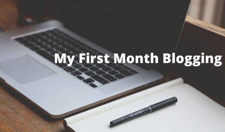 money you gain by blogging the first month